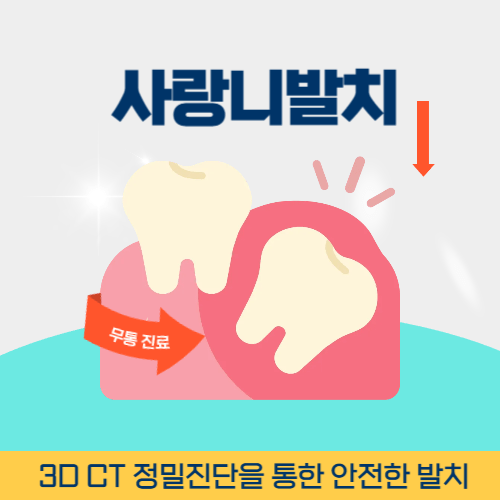 세종치과 세종특별자치시 치과 사랑니 발치
